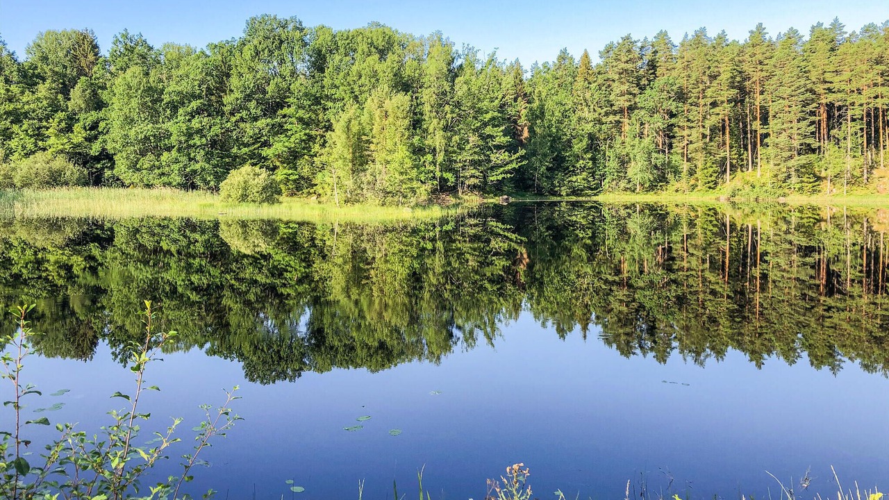 Photo of Others in Oskarshamn Municipality