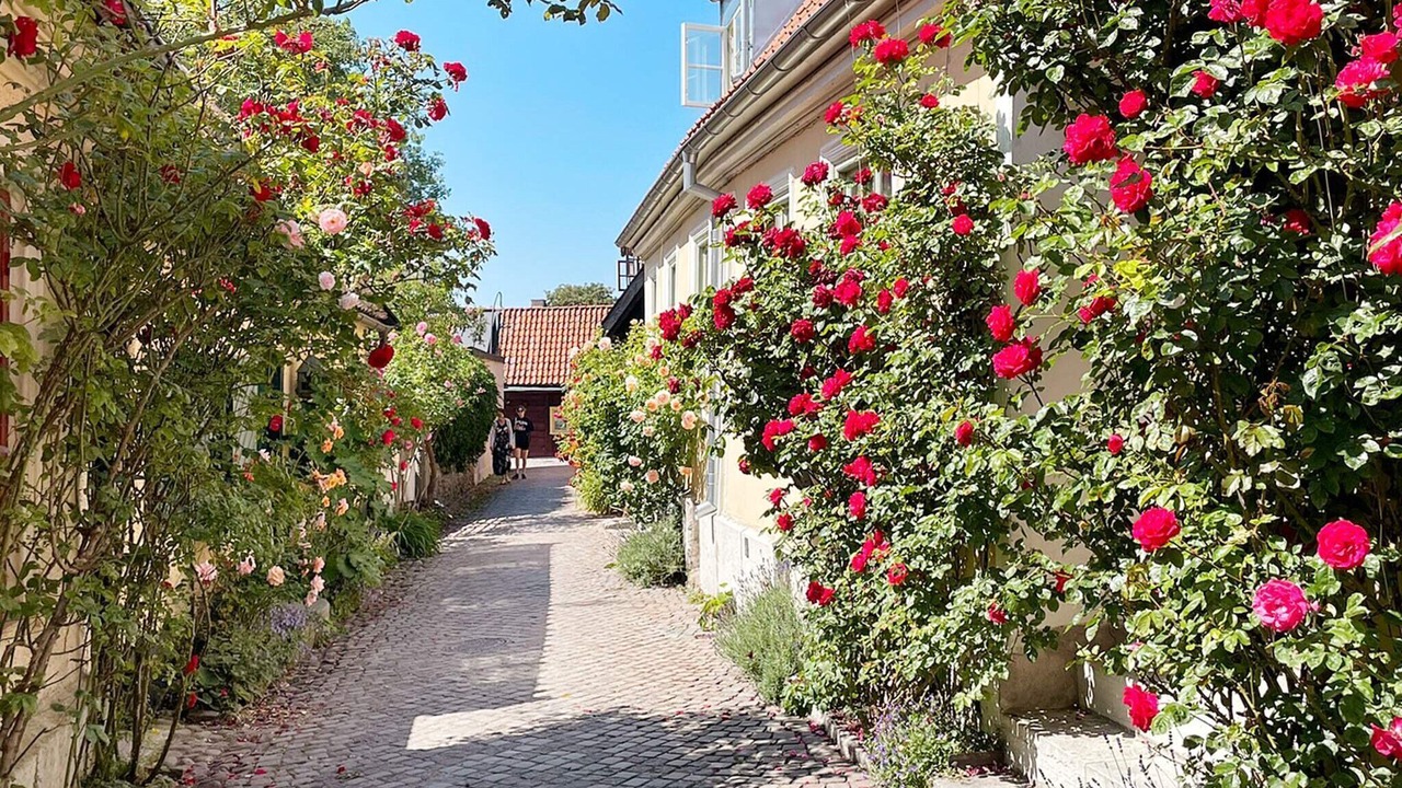 Photo of Outdoor in Nyhamn