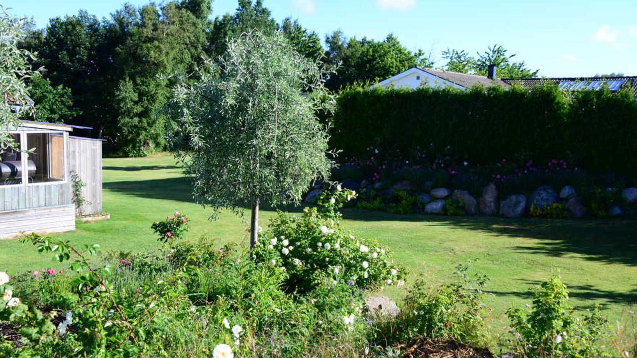 Photo of Outdoor in Asa