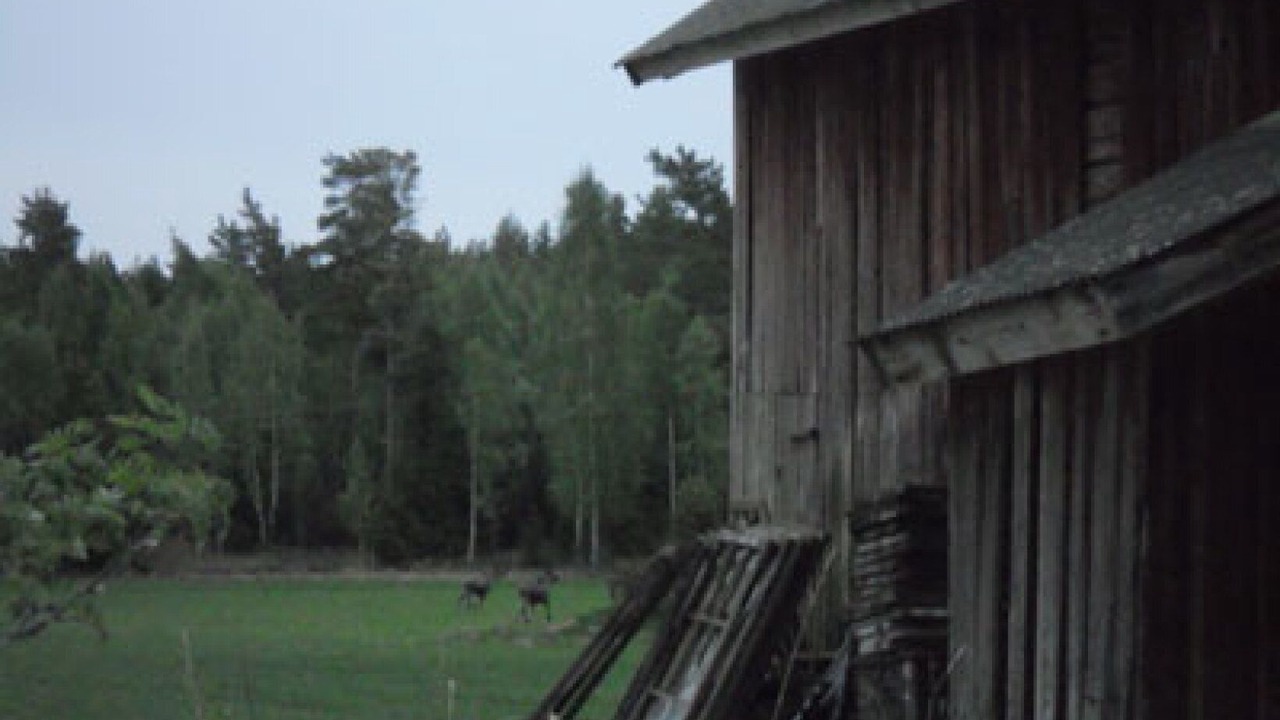 Photo of Others in Kristinehamn