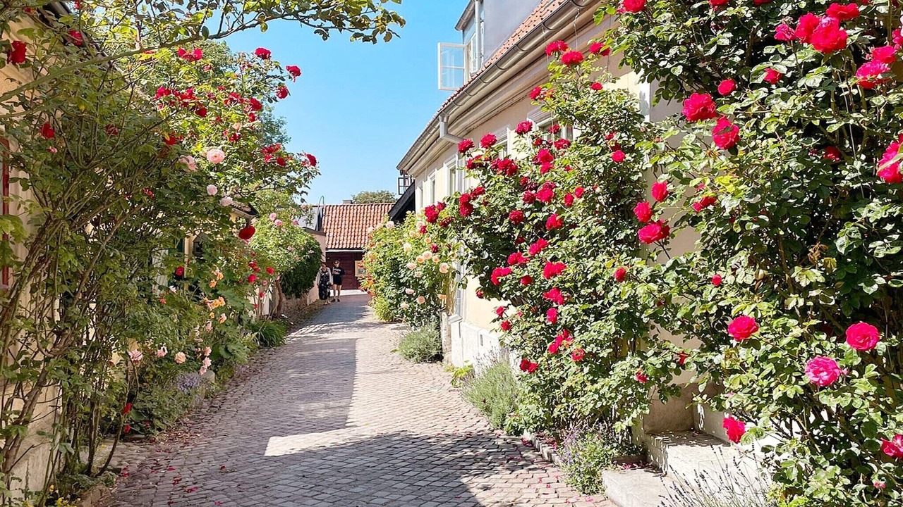 Photo of Outdoor in Tofta