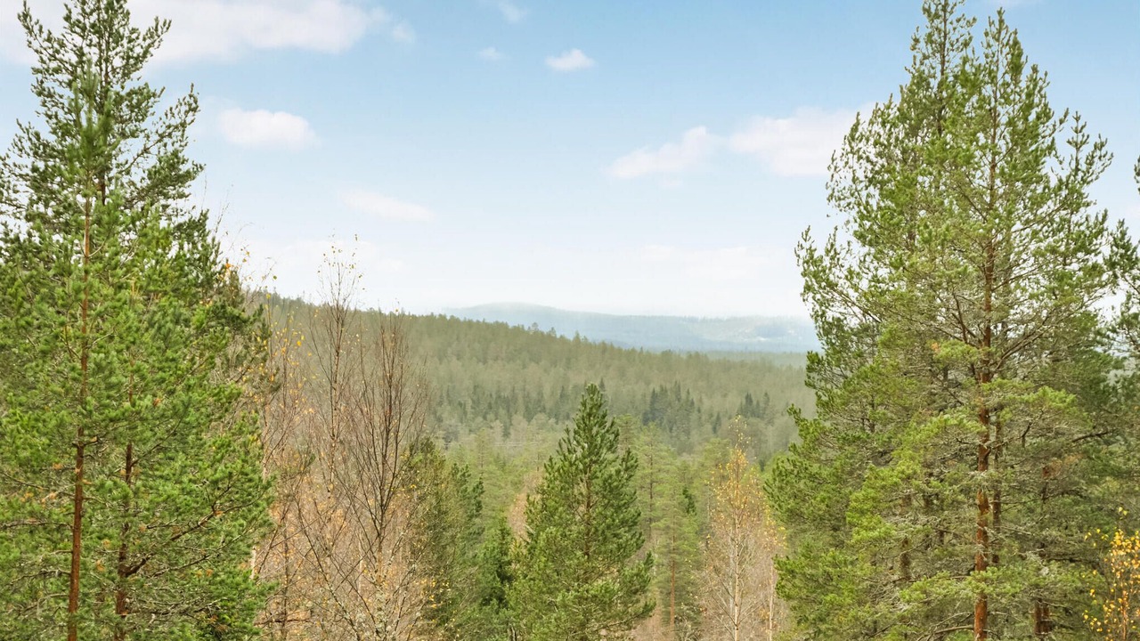 Photo of Others in Stoten