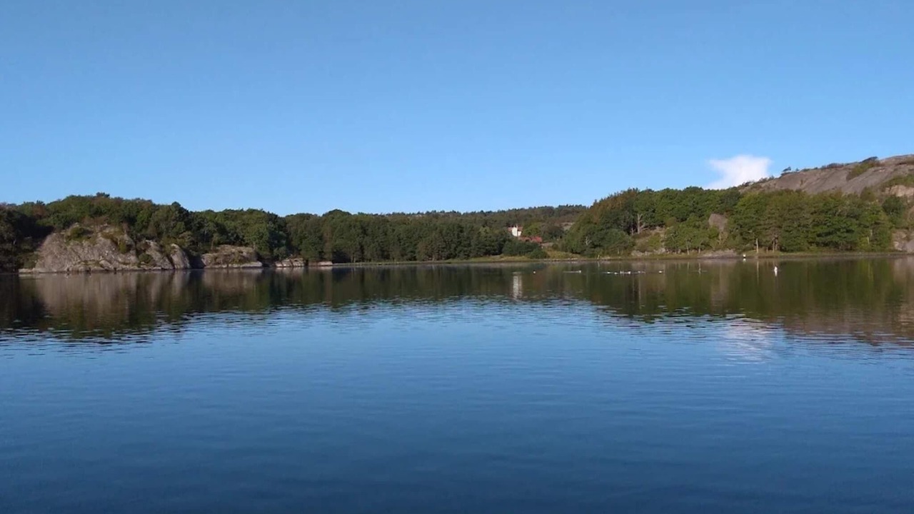 Photo of Others in Hamburgsund