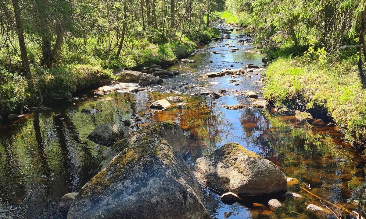 Photo of Others in Lesjofors