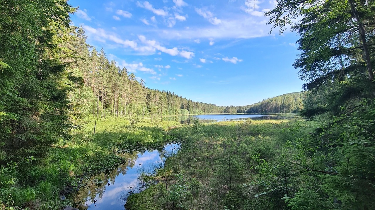 Photo of Others in Lesjofors