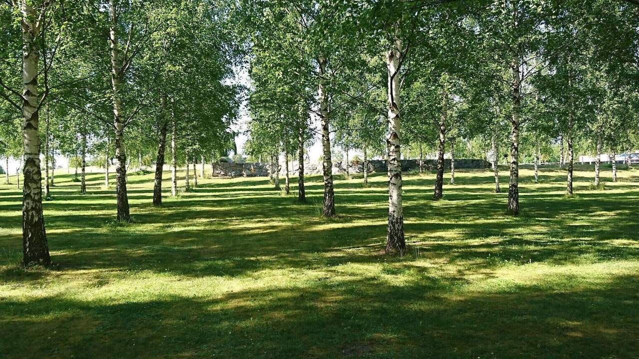 Photo of Others in Enskede