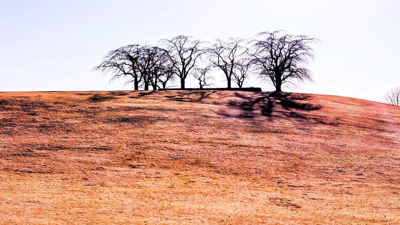 Photo of Others in Enskede