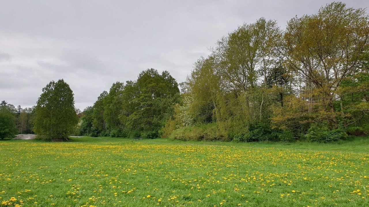 Photo of Others in Enskede