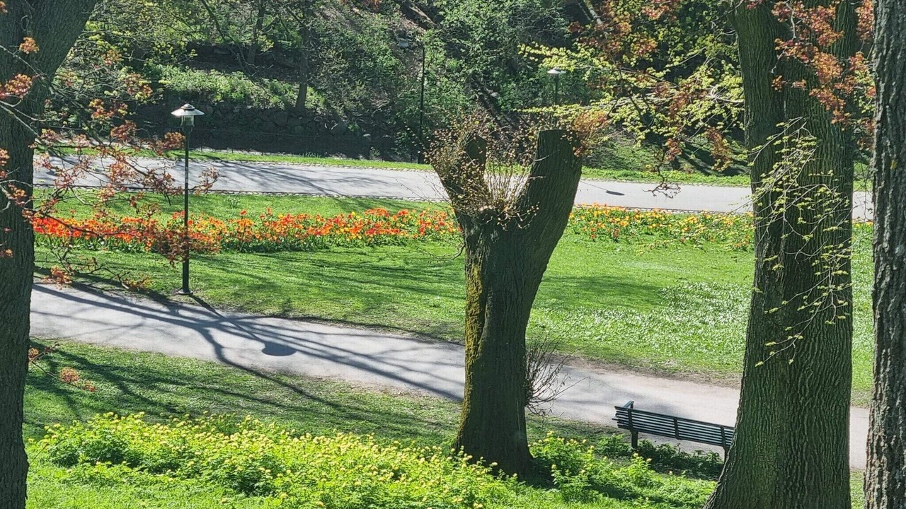 Photo of Outdoor in Enskede