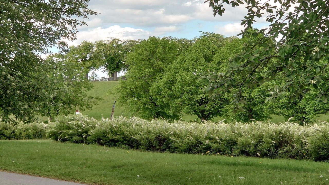 Photo of Outdoor in Enskede