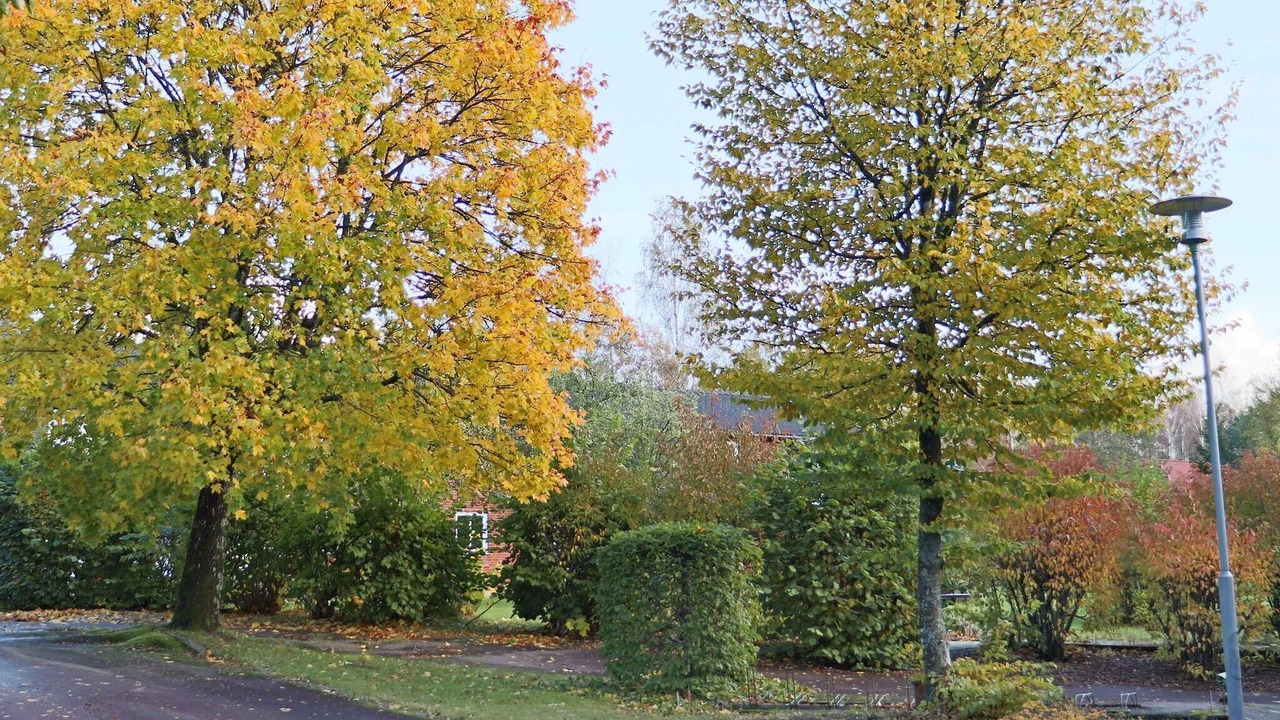 Photo of Outdoor in Hyltebruk