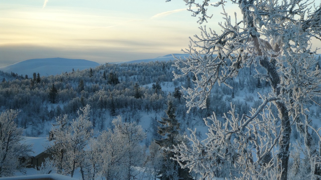 Photo of Outdoor in Etnedal
