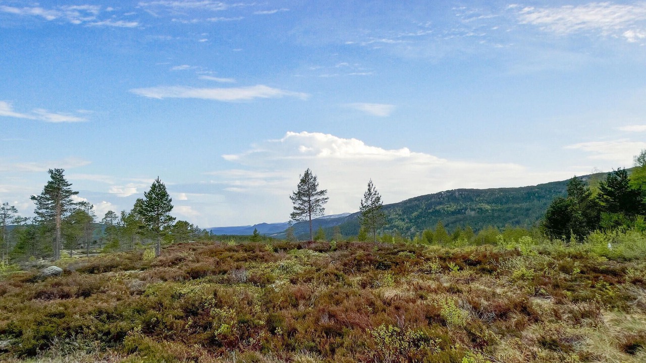 Photo of Others in Treungen