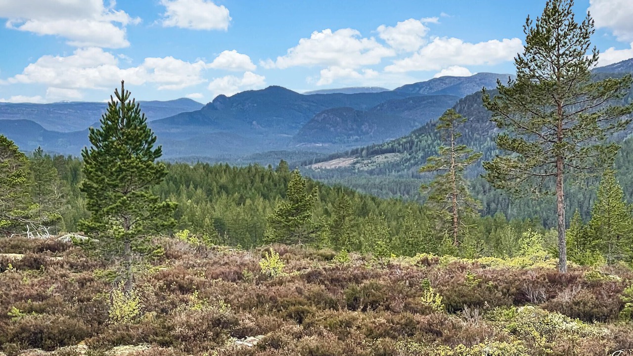Photo of Others in Treungen