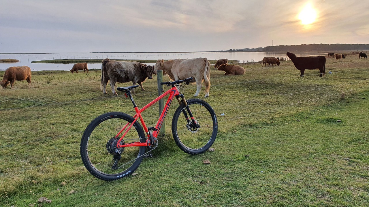 Photo of Others in Falsterbo
