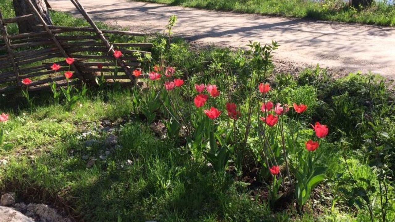 Photo of Outdoor in Soderbarke