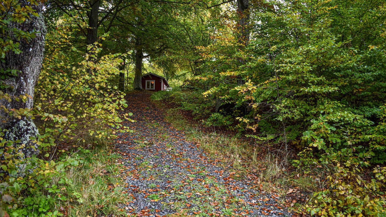 Photo of Others in Tormestorp