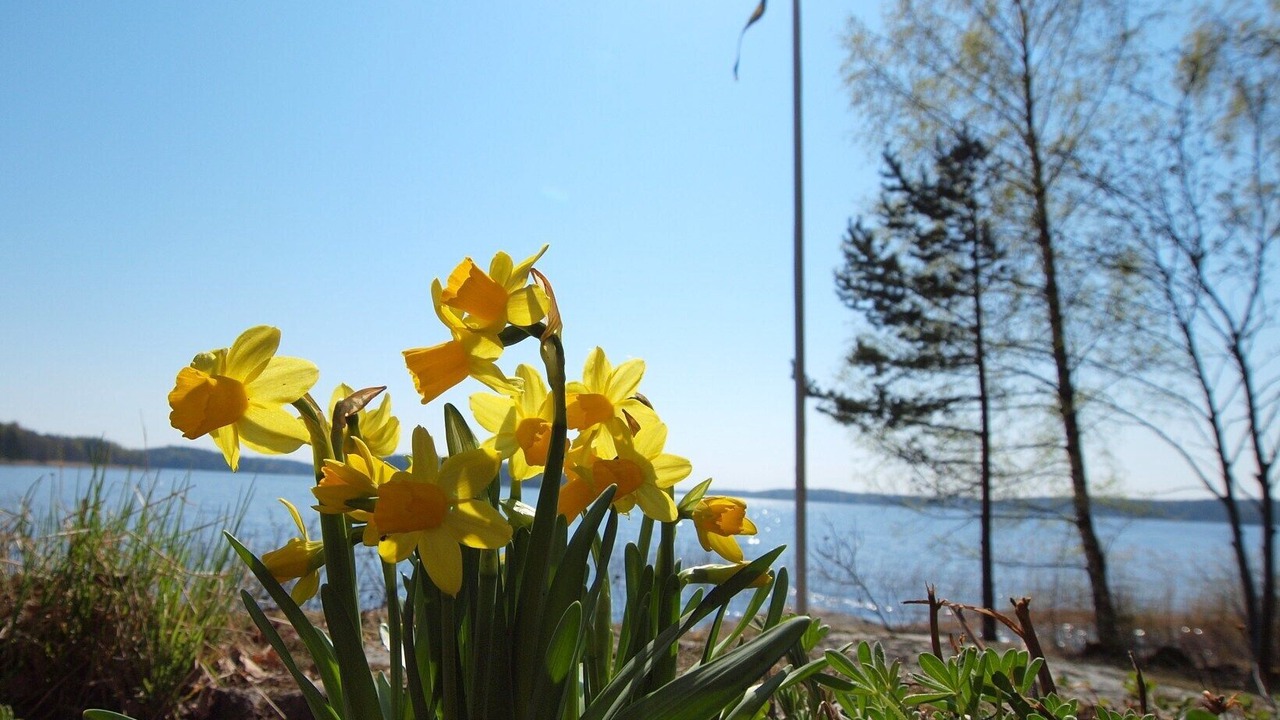 Photo of Outdoor in Saffle Municipality