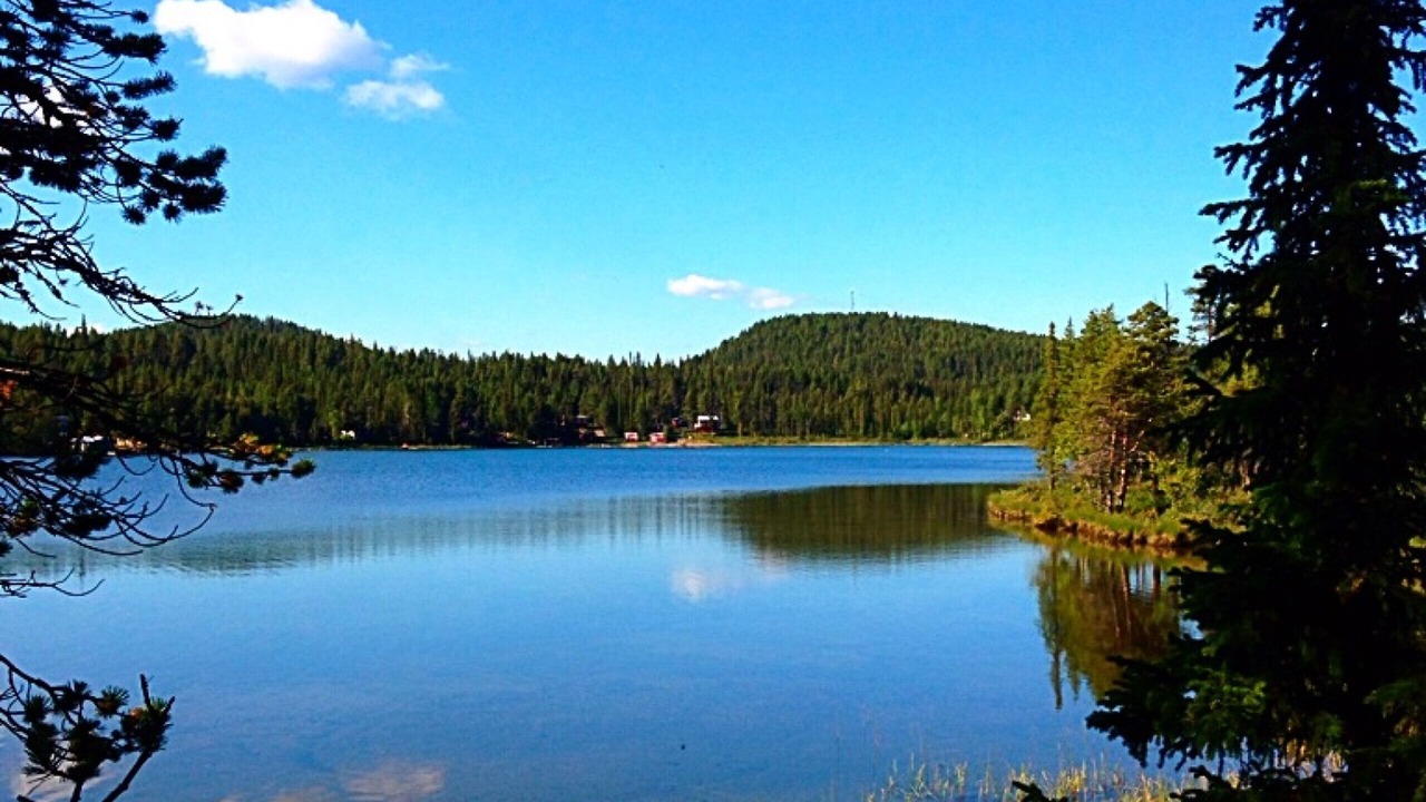 Photo of Others in Kurravaara