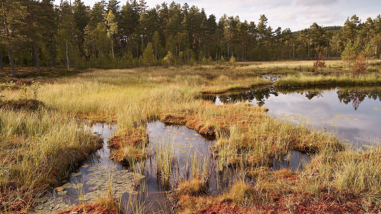 Photo of Others in Gunnarskog