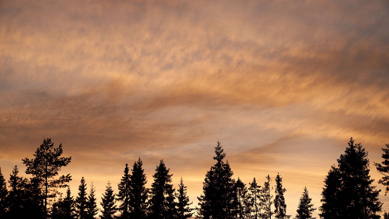 Photo of Others in Gunnarskog
