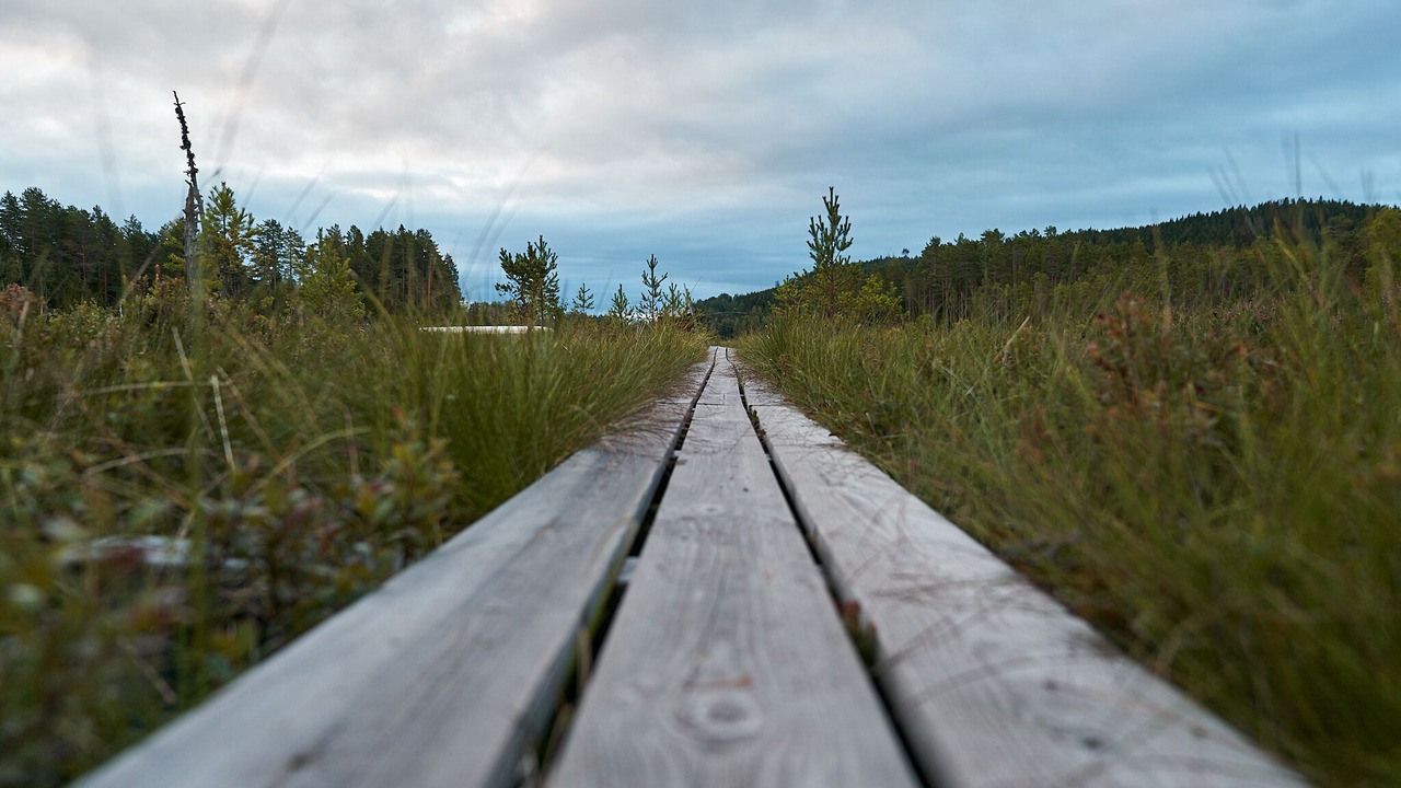 Photo of Others in Gunnarskog
