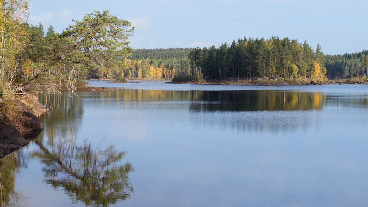 Photo of Others in Gunnarskog