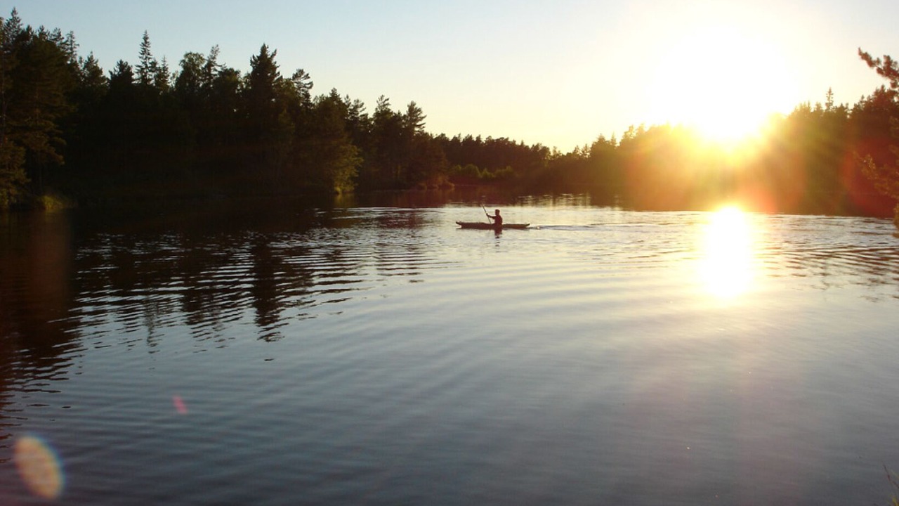 Photo of Others in Hultsfred