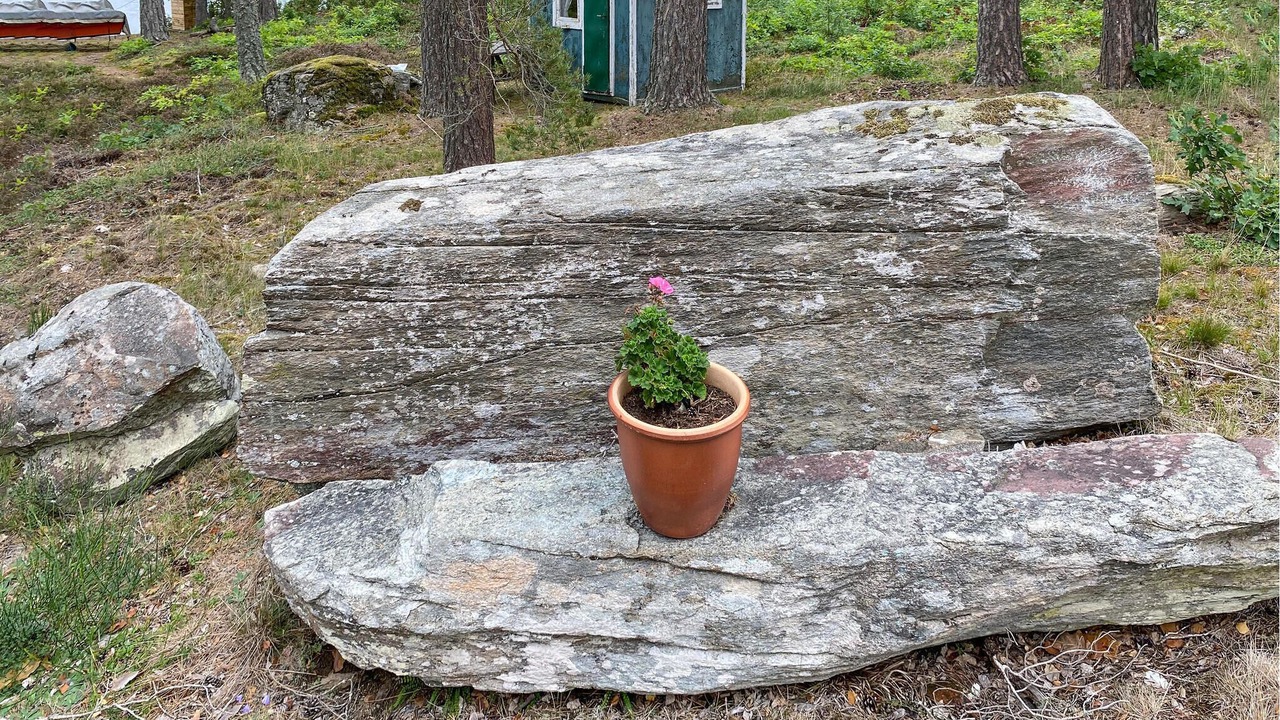 Photo of Others in Hogsby Municipality