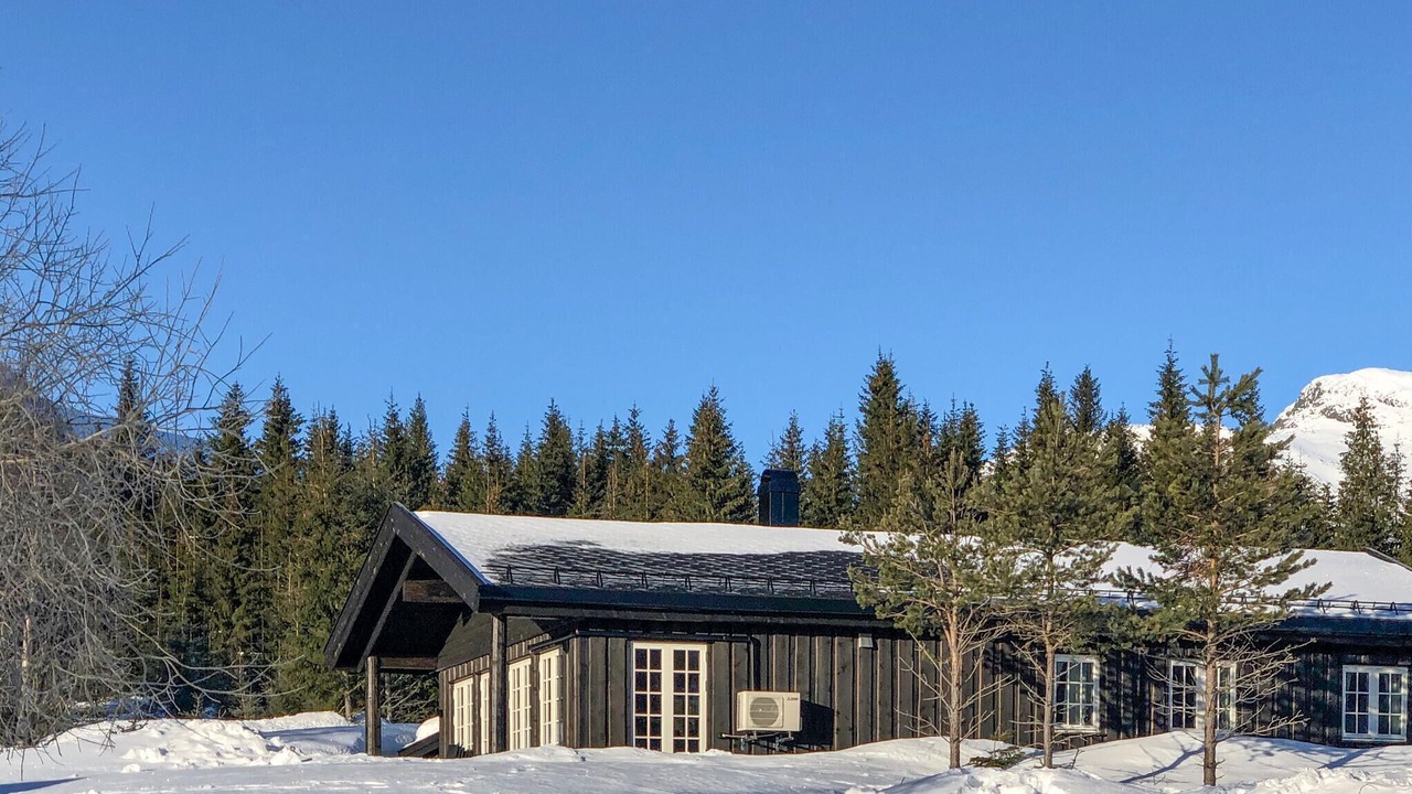 Photo of Others in Hemsedal