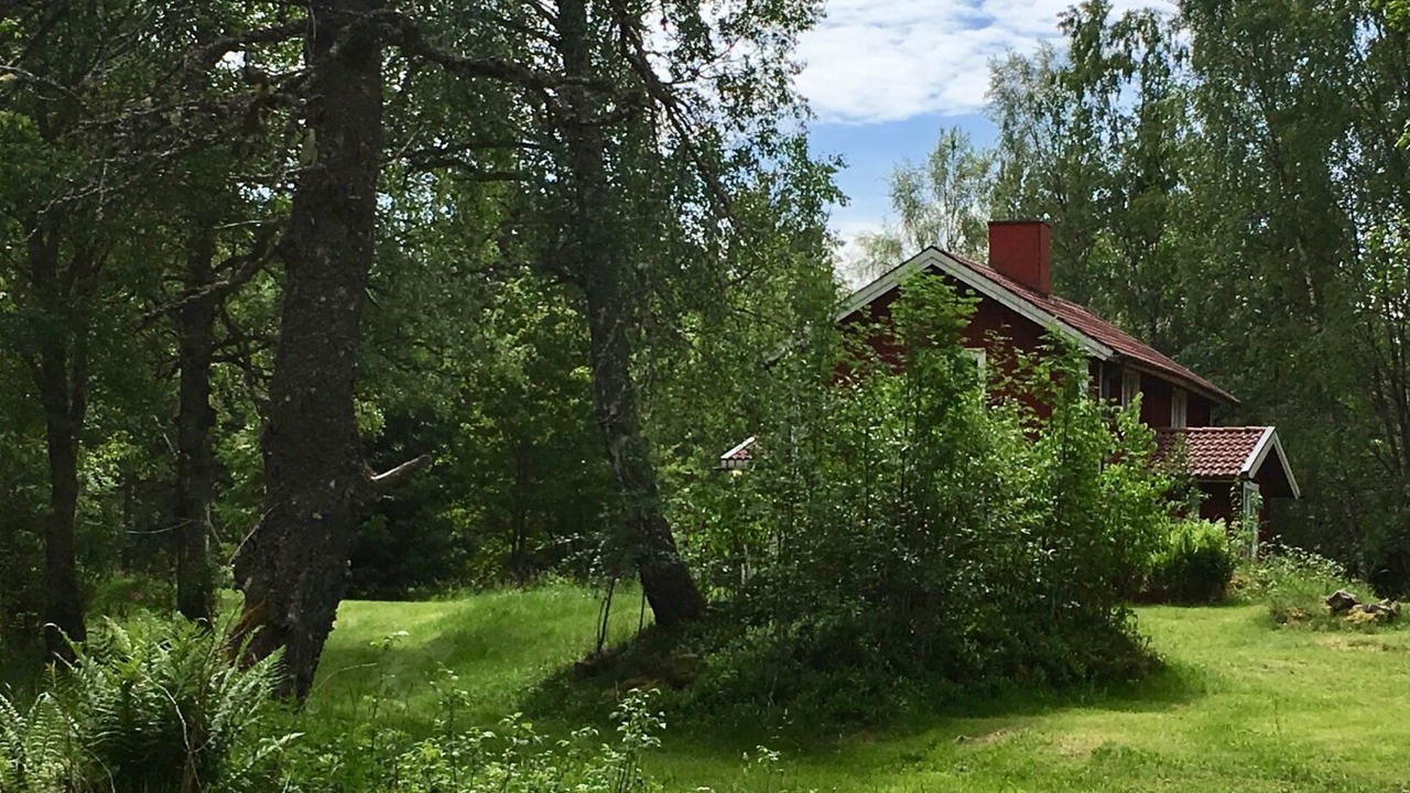 Photo of Outdoor in Savsjostrom