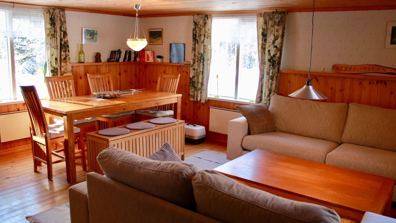 Photo of Livingroom in Savsjostrom