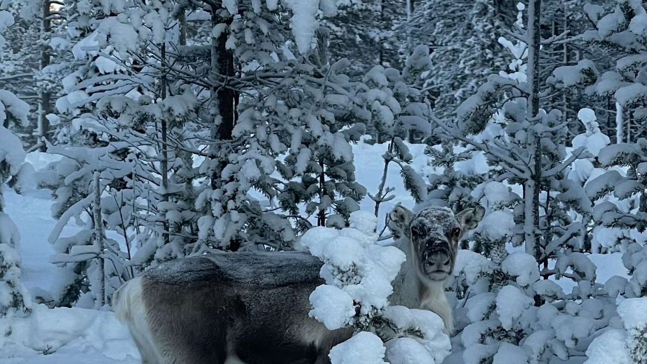 Photo of Outdoor in Bjorksele