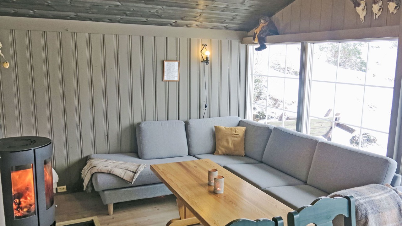 Photo of Livingroom in Aseral