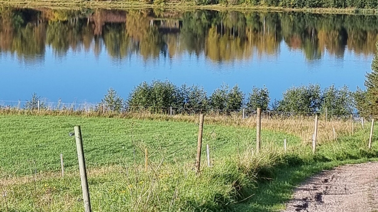 Photo of Outdoor in Nyland