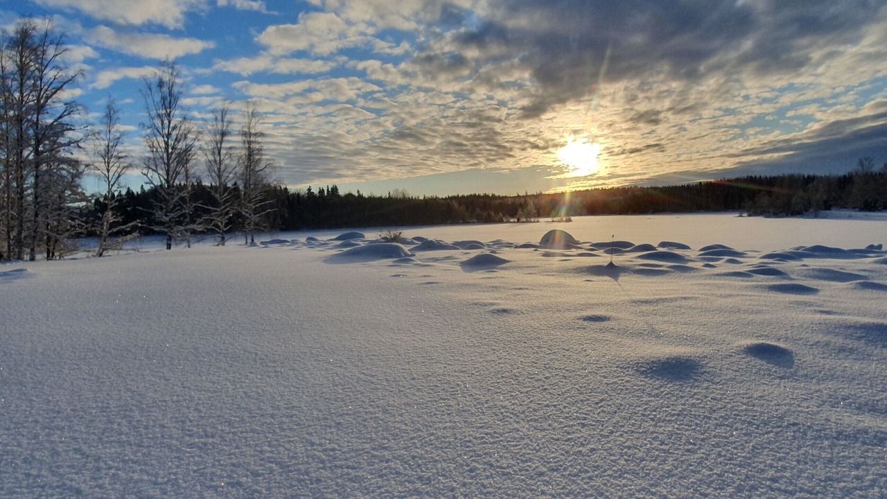 Photo of Others in Skinnskatteberg Municipality