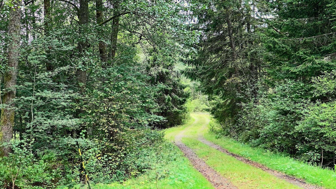 Photo of Outdoor in Ullared