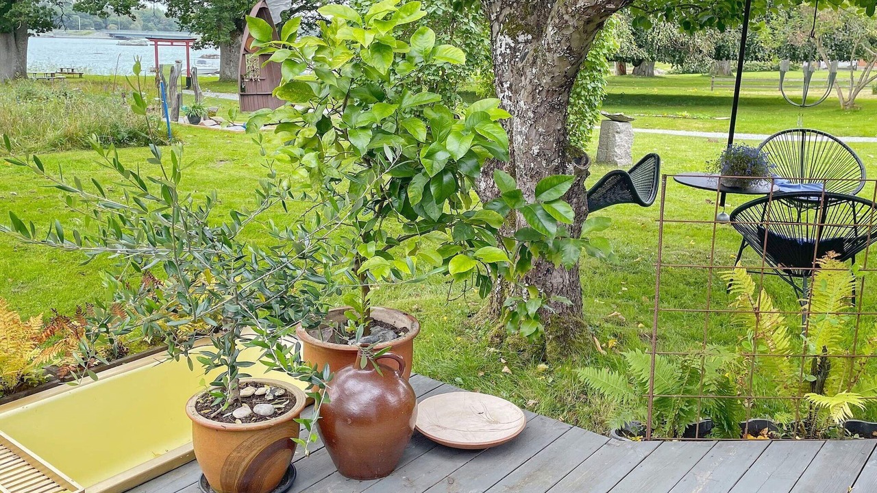 Photo of Outdoor in Torne