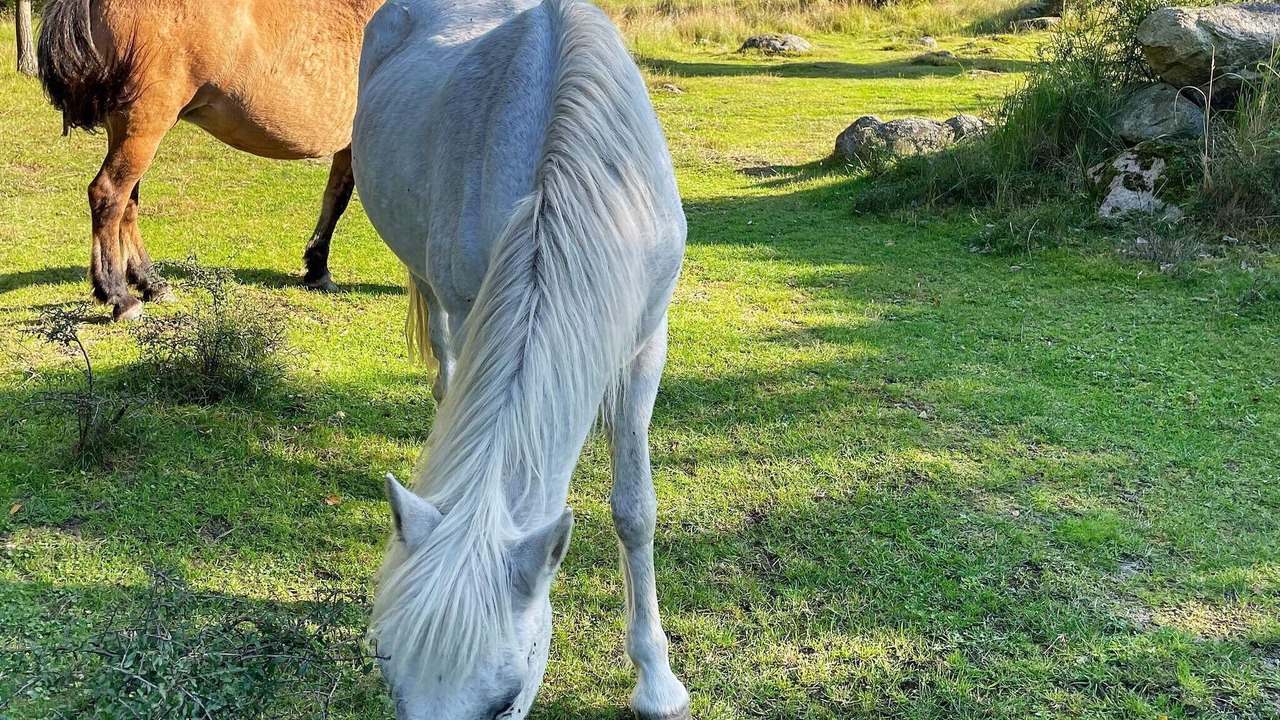 Photo of Outdoor in Solvesborg