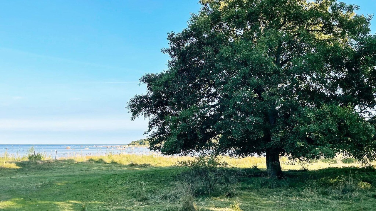 Photo of Outdoor in Solvesborg