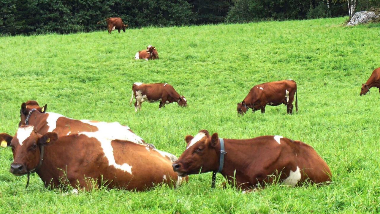 Photo of Outdoor in Rabbalshede