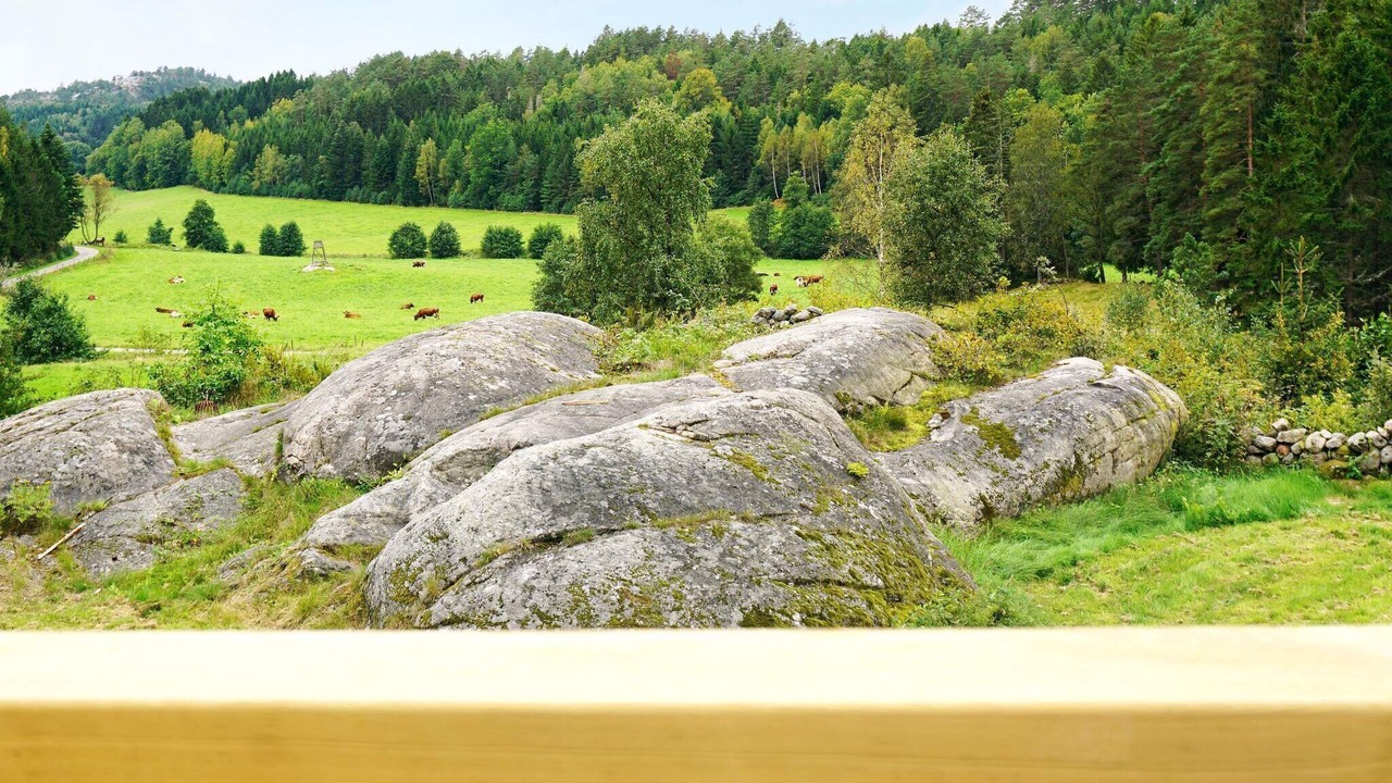 Photo of Outdoor in Rabbalshede