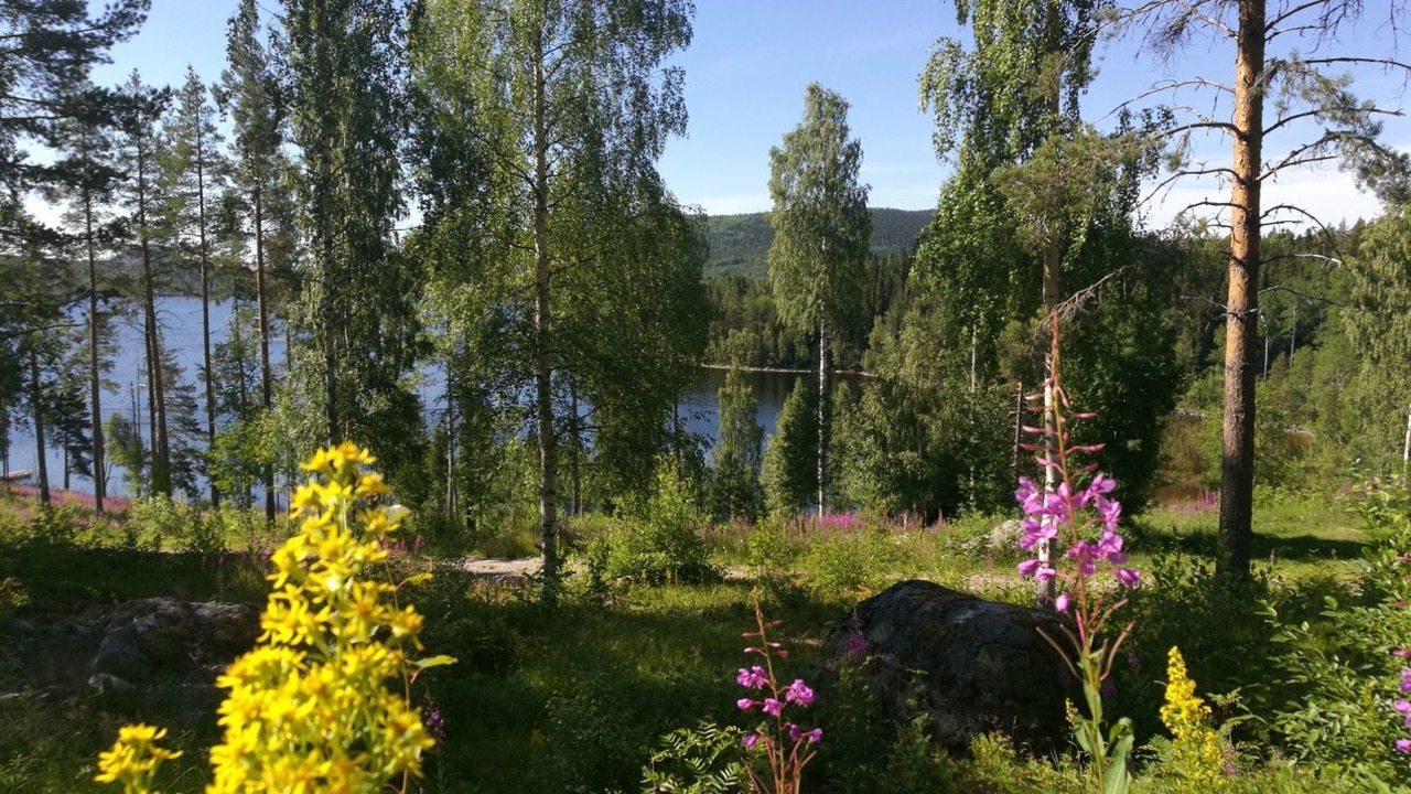 Photo of Others in Trehorningsjo