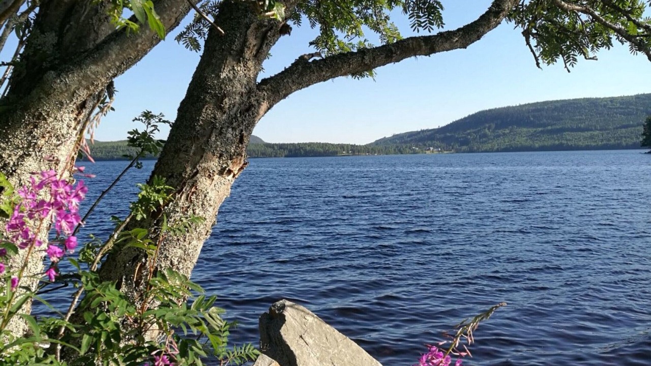 Photo of Outdoor in Trehorningsjo
