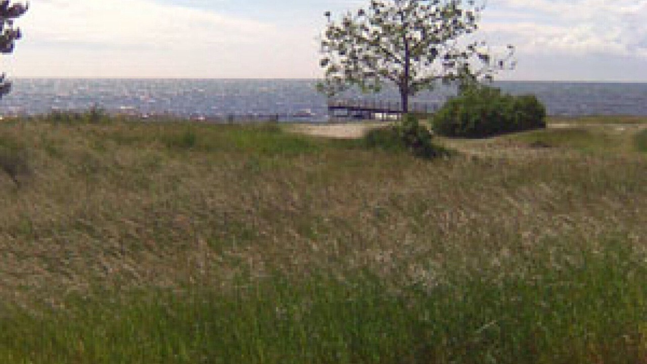 Photo of Others in Smygehamn