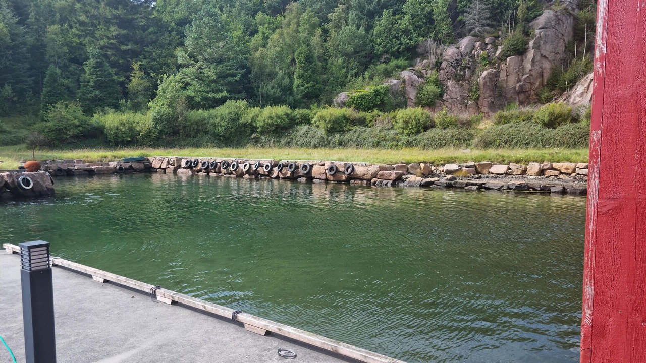 Photo of Others in Farsund