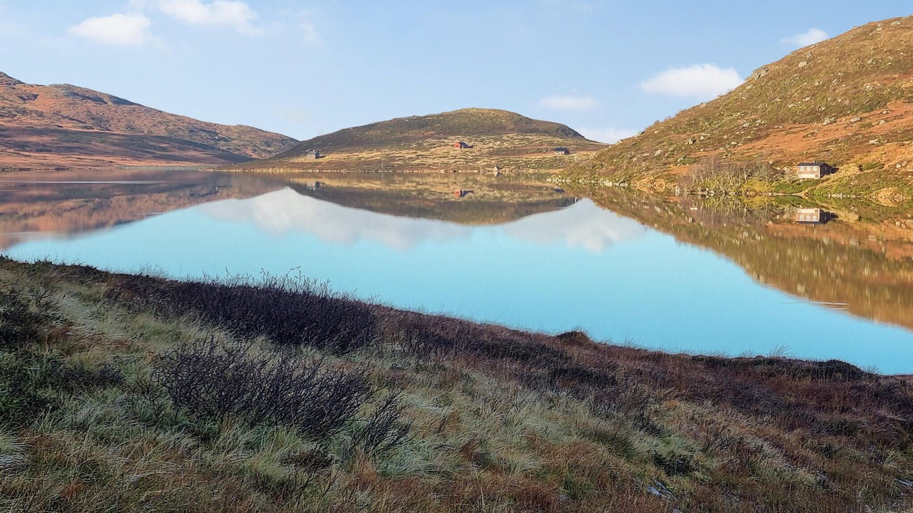Photo of Others in Vindafjord