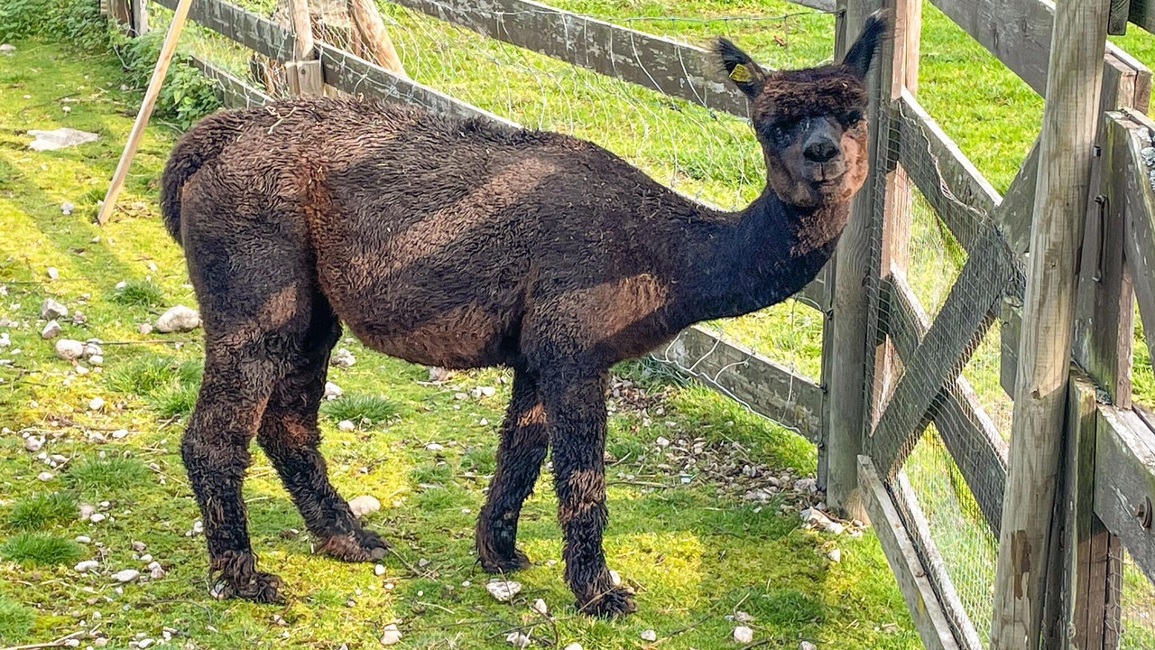 Photo of Others in Grue