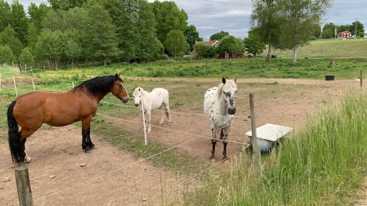 Photo of Outdoor in Vaxjo