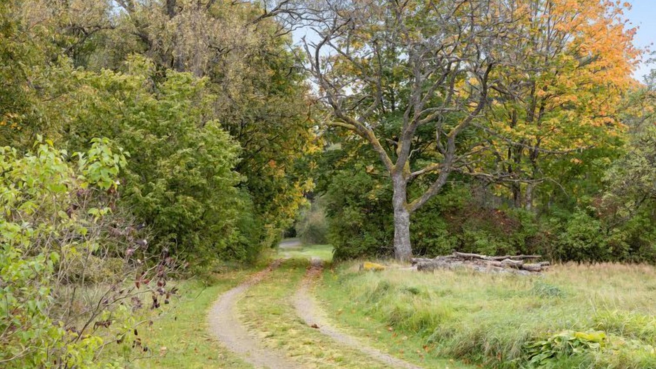 Photo of Outdoor in Kraketorp